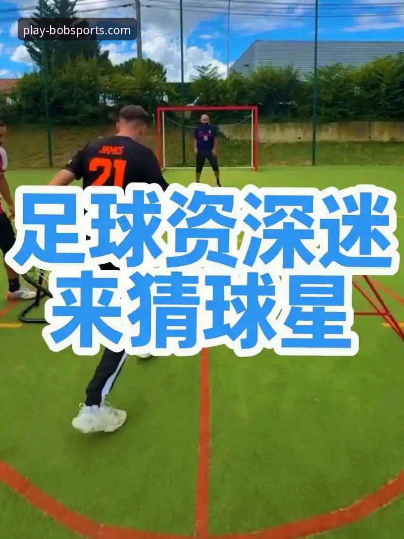 资深用户深度体验：半岛体育在线登录综合性运动平台实战心得